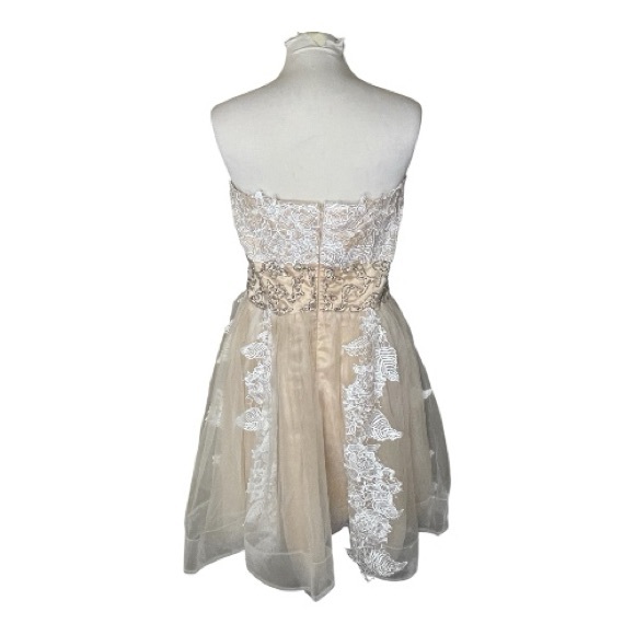Hebeos Elegant Lace Dress in White and Cream - Picture 2 of 7